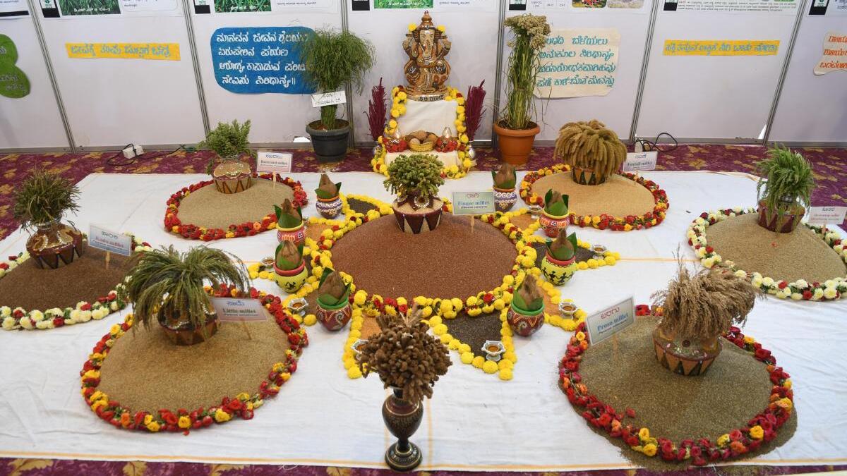 Feisty entrepreneurs impart desirable twist to humble millets The Hindu